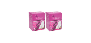 ProWings, Antibacterial Pads, L, 8pcs, 2 for a Deal