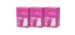 ProWings, Antibacterial Pads, L, 8pcs, 3 for a Deal